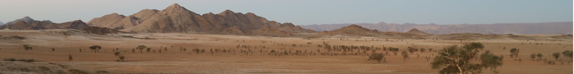 local-travel-namibia-car-rental-login-page-cover-image-etosha-waterhole